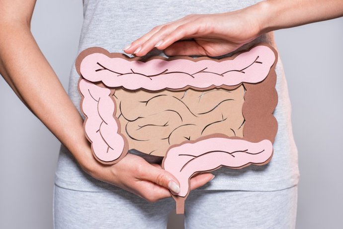 Archivo - Arquivo - Câncer de cólon e intestino