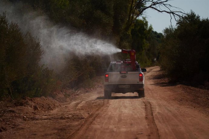 Operarios realizan trabajos de control y tratamiento de mosquitos transmisores del virus del Nilo occidental en la localidad sevillana de Los Palacios, el pasado 4 de agosto de 2026.