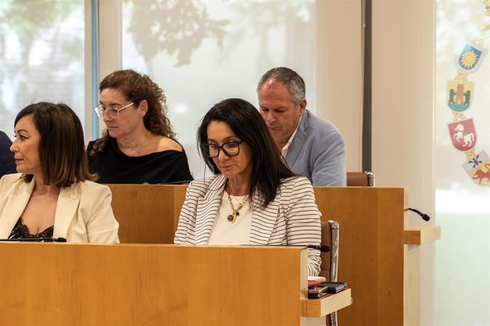 Diputada provincial de Sevilla de Cohesión e Igualdad, María Encarnación Fuentes.