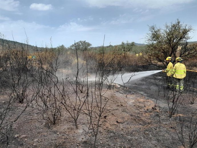 Bomberos actuando en el incendio de Alosno (Huelva).
