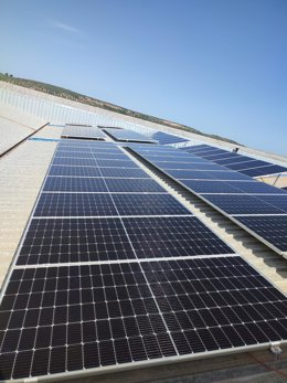 Una de las comunidades solares instaladas en la provincia de Jaén.