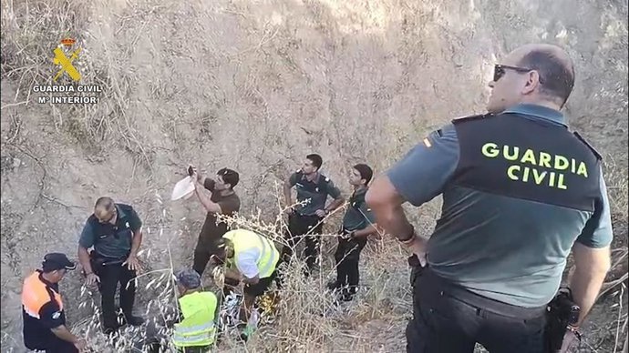 Vídeo de la noticia