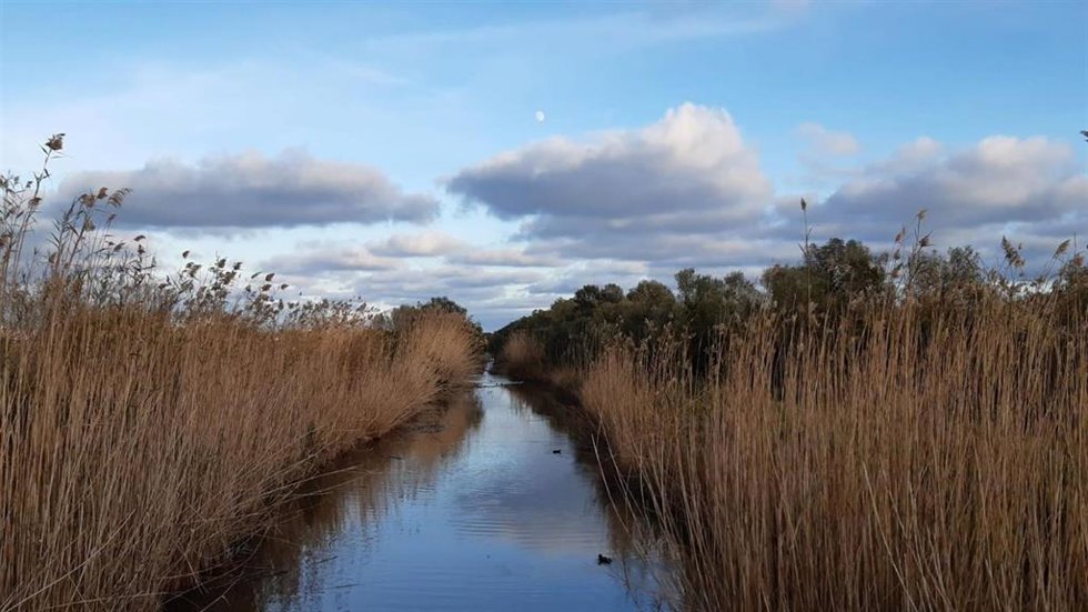 Parque natural de s'Albufera de Mallorca.