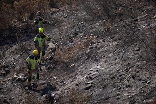 Bomberos trabajan en el incendio de Niebla en el término municipal de Berrocal (Huelva). A 15 de agosto de 2026 en Berrocal (Huelva, Andalucía, España).  