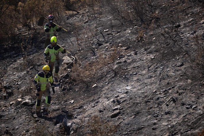 Bomberos trabajan en el incendio de Niebla en el término municipal de Berrocal (Huelva). A 15 de agosto de 2026 en Berrocal (Huelva, Andalucía, España).  