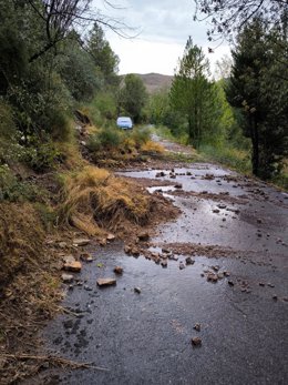 Lluvias en Bejís