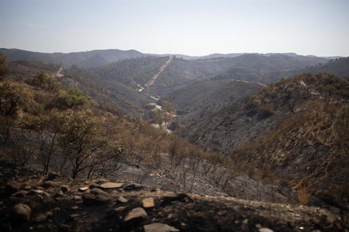 El incendio de Niebla deja un paisaje desolador en Berrocal (Huelva).