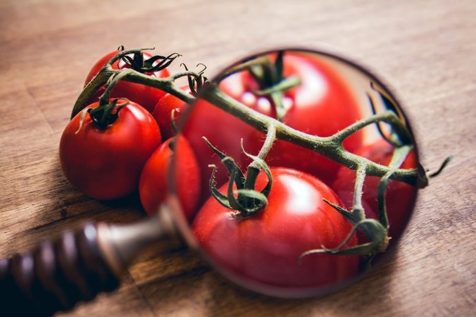 Archivo - Arquivo - Observando através de uma lupa um caule de tomate sobre uma mesa de madeira.