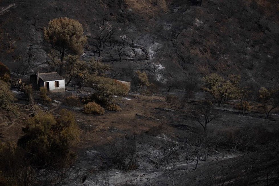 El incendio de Niebla deja un paisaje desolador en Berrocal (Huelva).