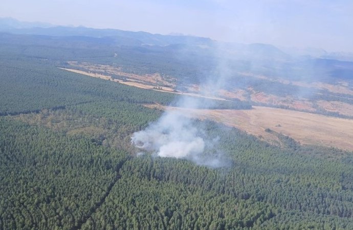 Más de una veintena de medios trabajan para sofocar un incendio en La Ercina (León)