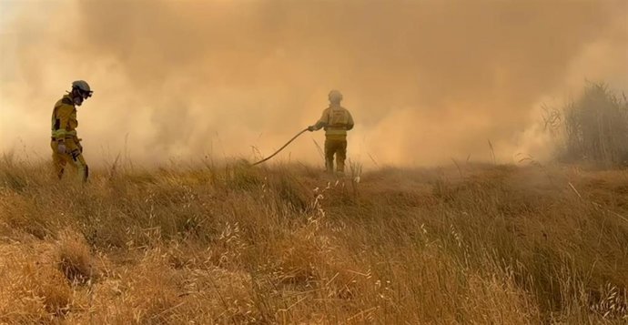 Fotonoticia (Varias Imágenes) . Bomberos Da Por Controlado Un Incendio De Matorrales Junto Al Hospital Neurotrumatológico De Jaén