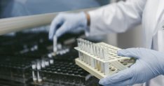 Investigación