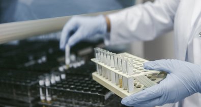 Investigación