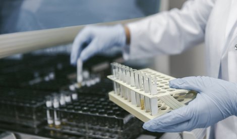 Investigación