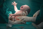 Foto: El intestino del bebé puede influir en el neurodesarrollo: identifican bacterias relacionadas con signos de TEA y TDAH