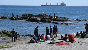 Migración