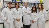 Foto: Identifican cambios en el entorno de la médula ósea que podrían abrir nuevas vías para tratar el mieloma múltiple