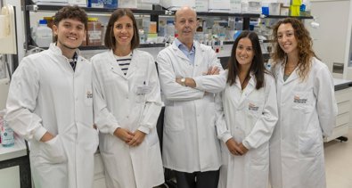 Investigación