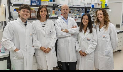 Investigación
