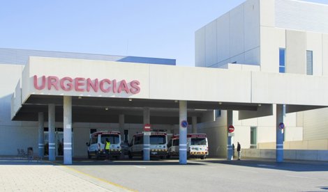 notibrasil sociedade