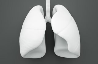 Archivo - ISCIII avanza en conocimiento para crear 'minipulmones' para investigación biomédica mediante el análisis de hidrogeles