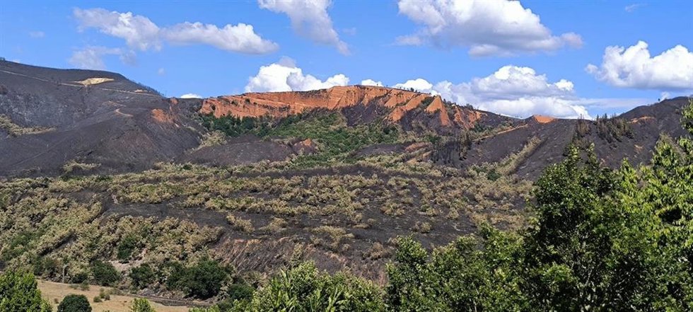 Una zona de la comarca de El Bierzo afectada por los incendios.