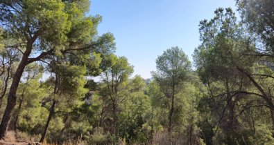 Murcia