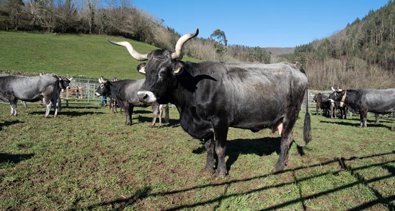 Cantabria
