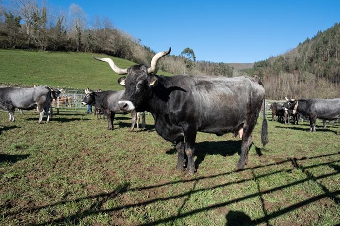 Cantabria