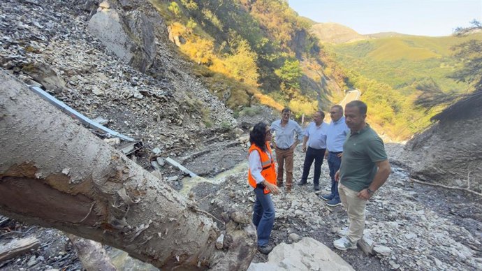 El presidente de la Diputación pide la implicación de todas las administraciones ante el desprendimiento en Peñalba .