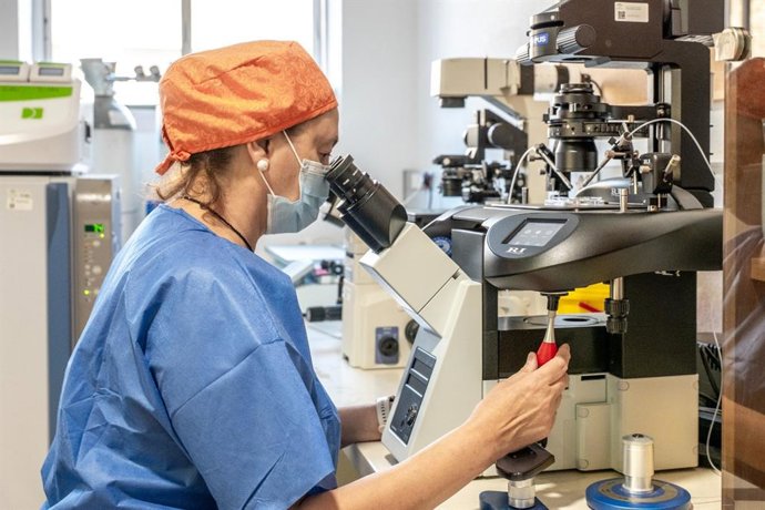 Una profesional de la Unidad de Reproducción Asistida del Hospital de Jaén.