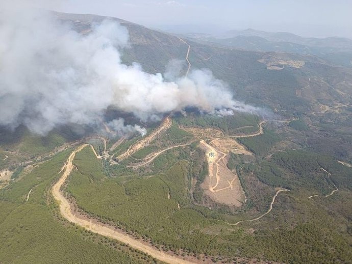 Incendio forestal en Pinofranqueado a las 16,00 horas del 18 de agosto de 2026