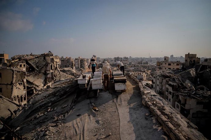 Estado de la ciudad de Gaza tras los bombardeos de Israel