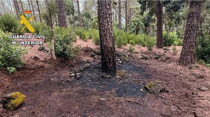 La Guardia Civil detiene en menos de una hora al presunto autor de un conato de incendio en El Tanque (Tenerife)