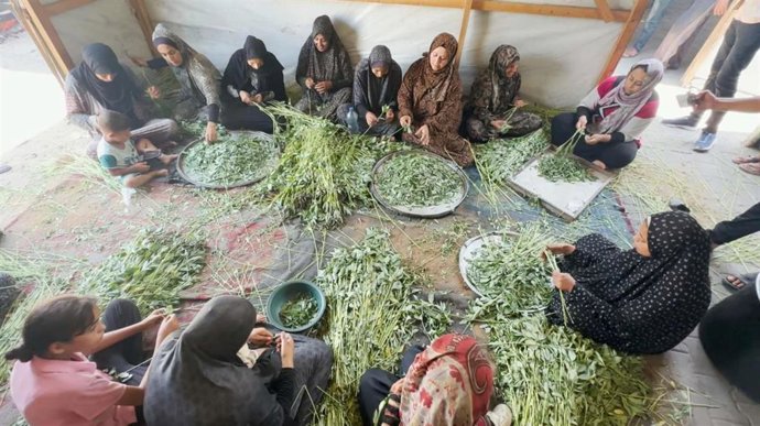 Proyecto de cooperación en Gaza.