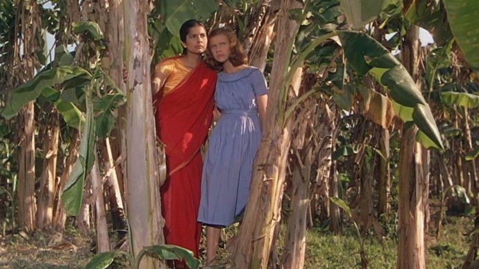 La Filmoteca d'Estiu proyecta la película 'El río' de Jean Renoir, y el cortometraje valenciano 'Lleó', de Alba Just