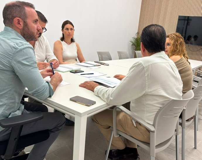 El delegado de Hábitat Urbano, David Delgado, en una reunión con los responsables de Endesa.