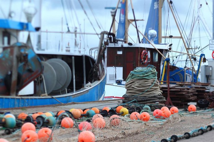 Archivo - Agro.- Gobierno y sector pesquero acuerdan flexibilidades en la aplicación de los nuevos controles de la UE