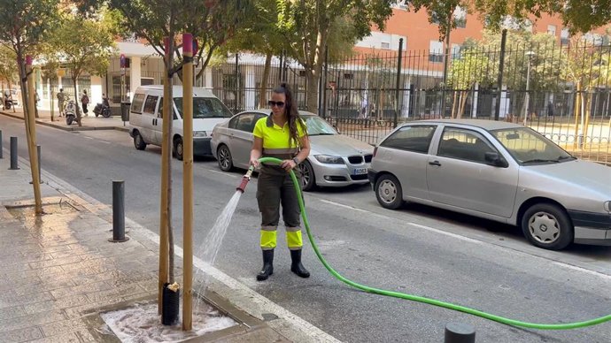 Tareas de riego reforzadas en el Distrito San Pablo-Santa Justa.
