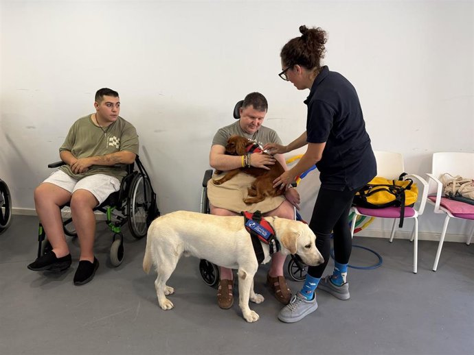 Más de 450 usuarios de las residencias de la Fundación de Dependencia se benefician de la terapia asistida con animales.