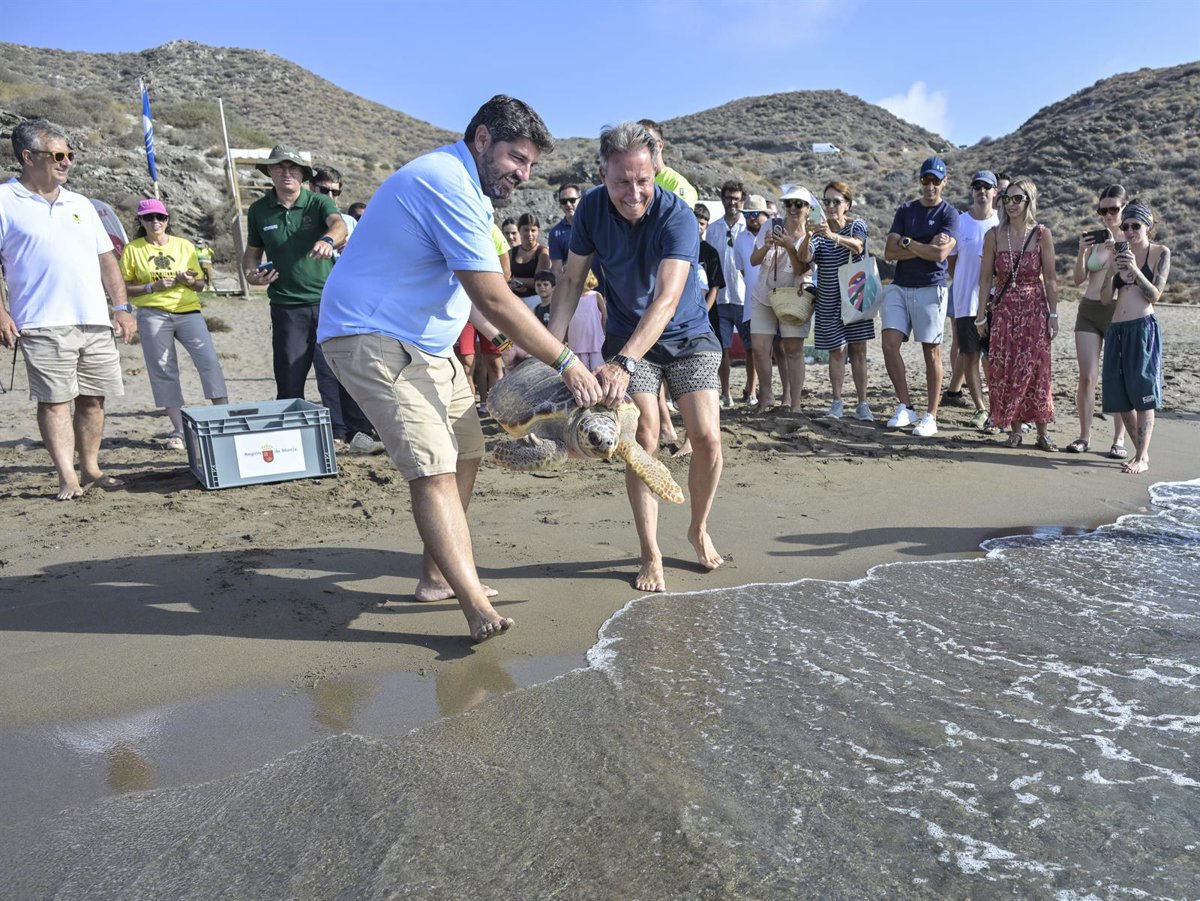 Dos tortugas bobas heridas son devueltas al mar tras su recuperación en El Valle