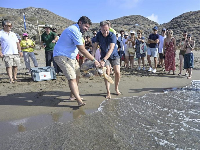 El presidente de la Comunidad y el alcalde de Lorca, Fulgencio Gil, en la liberación de dos ejemplares de tortuga boba hoy en Calnegre.