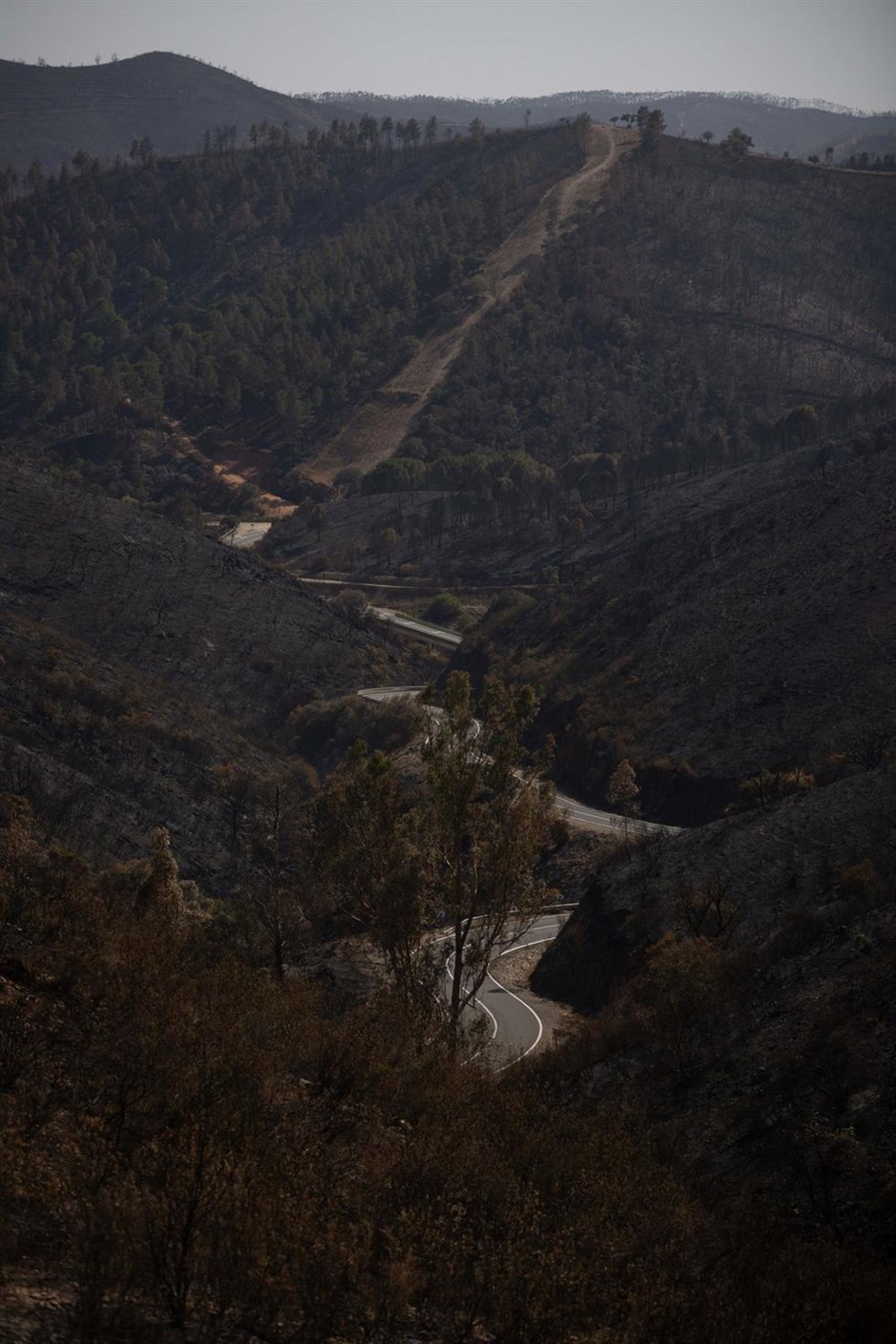 El incendio de Niebla deja un paisaje desolador.