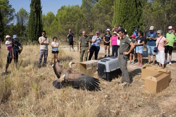 Suelta Colectiva De La Sexta Edición Del Programa De Voluntariado Ambiental ‘Ayúdale A Volar’