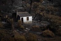 Berrocal (Huelva) pedirá declaración de zona catastrófica tras el incendio de Niebla: "El verdadero drama empieza ahora"