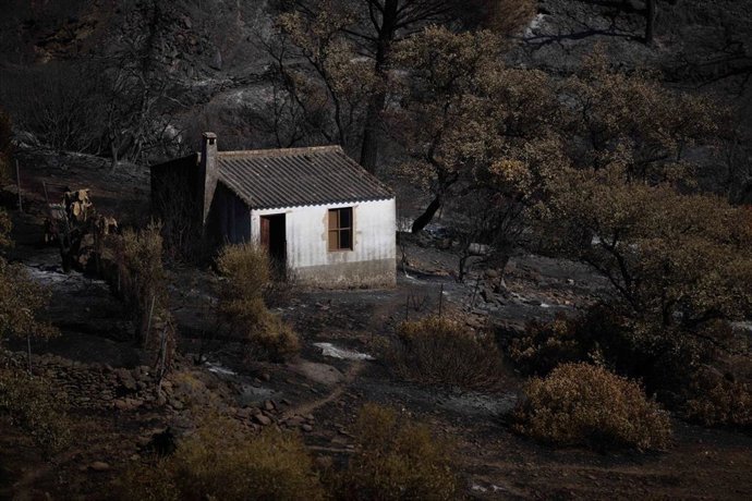 El incendio de Niebla deja un paisaje desolador en Berrocal (Huelva).