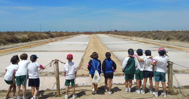 Cádiz al día