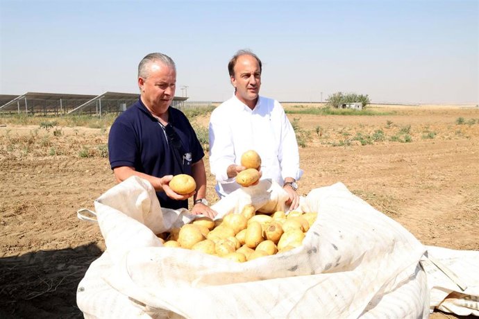 EL consejero Joaquín Antonio Pino, junto al presidente de Asaja en CyL, Donaciano Dujo, durante la presentación del estudio en Bercero.