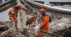 notibrasil sociedade