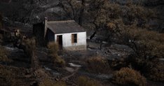 notibrasil política